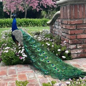 Meet your Posher, Sayeli